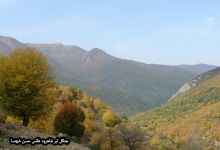 گزارش تصویری از فصل پاییز در جنگل ابر شاهرود
